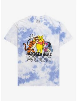 Disney Winnie The Pooh Group Portrait Tie-Dye T-Shirt - BoxLunch Exclusive